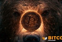 Bitcoin Bear Market May Not Yet Be Over, Says Fidelity Bitcoin Bear Market May Not Yet Be Over, Says Fidelity