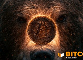 Bitcoin Bear Market May Not Yet Be Over, Says Fidelity Bitcoin Bear Market May Not Yet Be Over, Says Fidelity